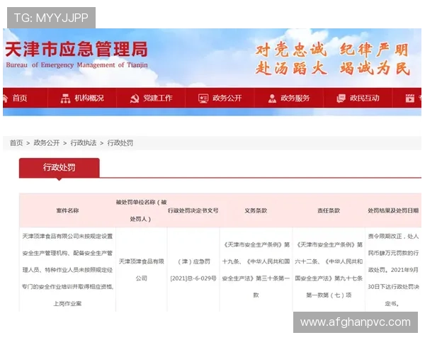 凯时KS旗舰网站安全保障措施详解保障玩家账号与资金安全的最佳实践