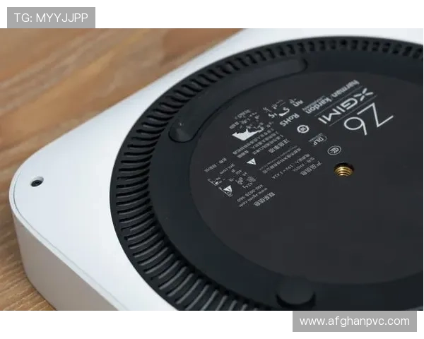 Z6体育网站的最新优惠活动与会员福利详细介绍