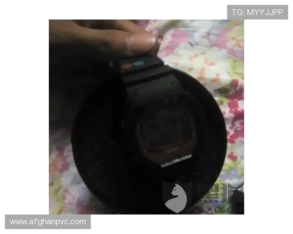 尊龙游戏旗舰厅官网入口介绍官方客服支持与常见问题解答服务内容