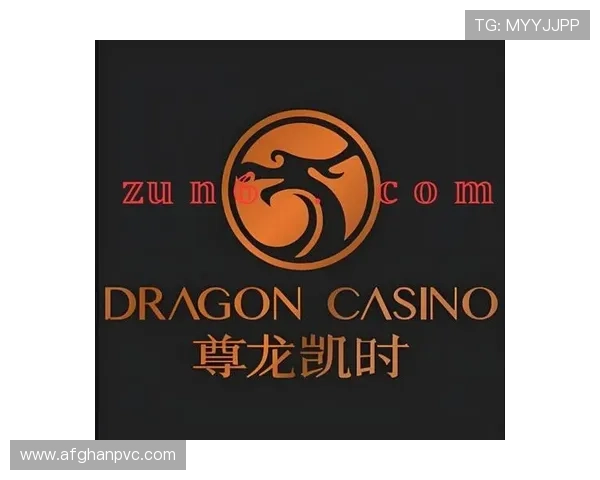 尊龙人生就是搏app下载介绍平台的技术支持与维护保障稳定运行