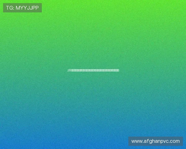 z6尊龙官方旗舰店助力世界杯赛事精彩呈现体育迷必看最新官方周边推荐